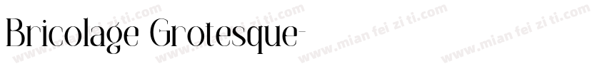 Bricolage Grotesque字体转换